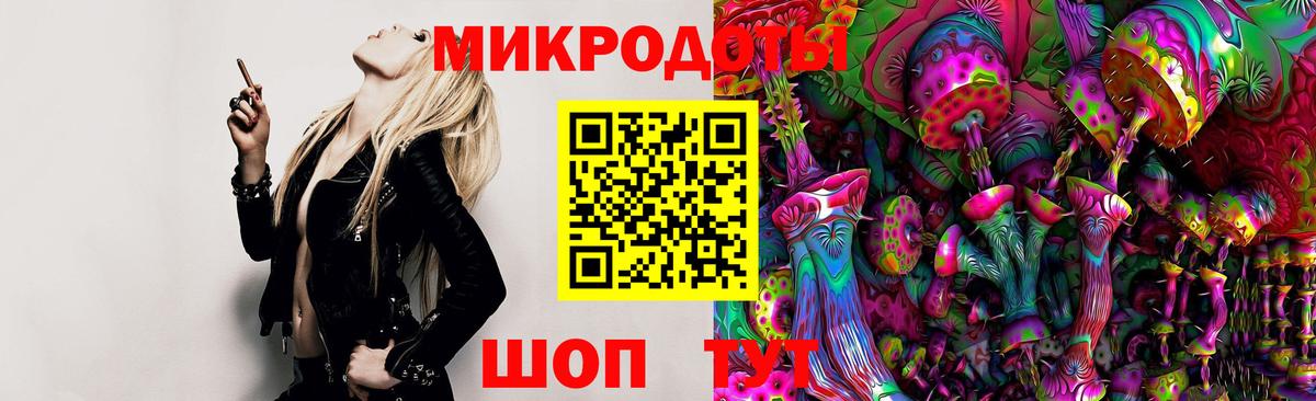 Галлюциногенные грибы Psilocybe Ипатово
